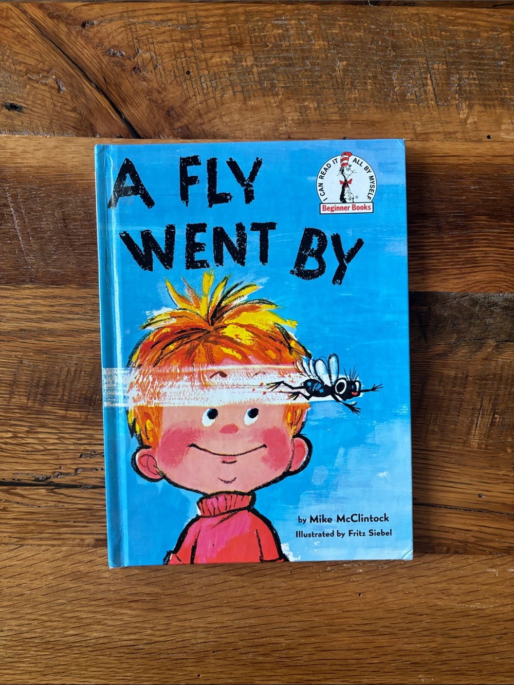 Dr. Seuss A Fly Went By Book - Blue, Yellow, Orange, Pink